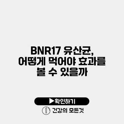 BNR17 유산균, 어떻게 먹어야 효과를 볼 수 있을까?
