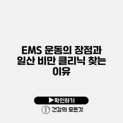 EMS 운동의 장점과 일산 비만 클리닉 찾는 이유
