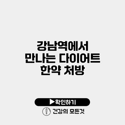 강남역에서 만나는 다이어트 한약 처방