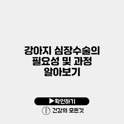 강아지 심장수술의 필요성 및 과정 알아보기