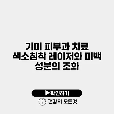 기미 피부과 치료 색소침착 레이저와 미백 성분의 조화