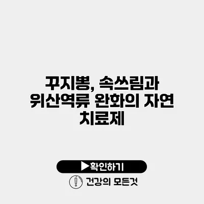 꾸지뽕, 속쓰림과 위산역류 완화의 자연 치료제