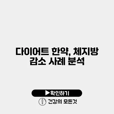 다이어트 한약, 체지방 감소 사례 분석