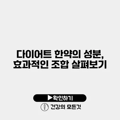 다이어트 한약의 성분, 효과적인 조합 살펴보기