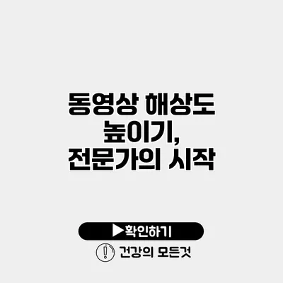 동영상 해상도 높이기, 전문가의 시작