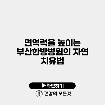면역력을 높이는 부산한방병원의 자연 치유법