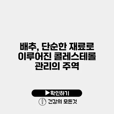 배추, 단순한 재료로 이루어진 콜레스테롤 관리의 주역