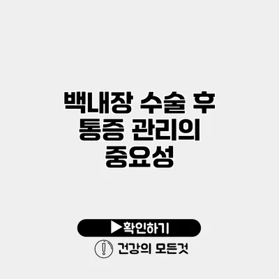 백내장 수술 후 통증 관리의 중요성