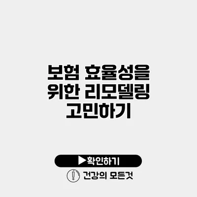 보험 효율성을 위한 리모델링 고민하기