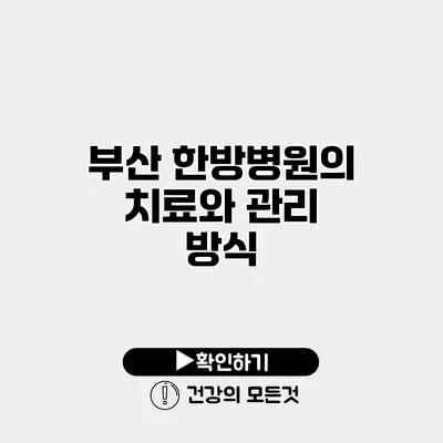 부산 한방병원의 치료와 관리 방식