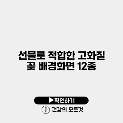 선물로 적합한 고화질 꽃 배경화면 12종