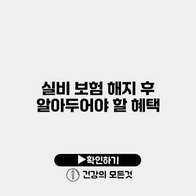 실비 보험 해지 후 알아두어야 할 혜택