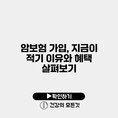 암보험 가입, 지금이 적기 이유와 혜택 살펴보기