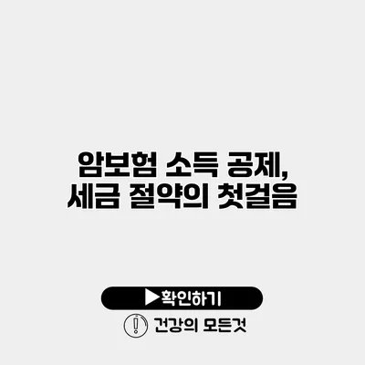 암보험 소득 공제, 세금 절약의 첫걸음