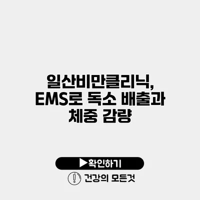 일산비만클리닉, EMS로 독소 배출과 체중 감량