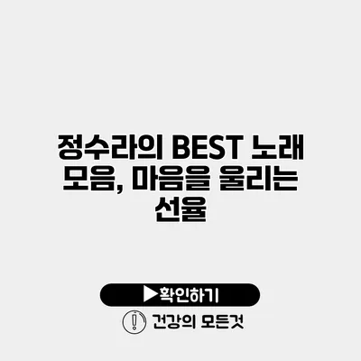 정수라의 BEST 노래 모음, 마음을 울리는 선율