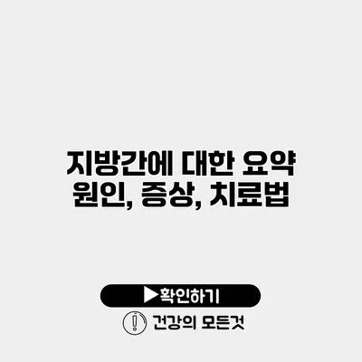 지방간에 대한 요약 원인, 증상, 치료법