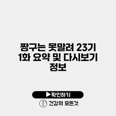 짱구는 못말려 23기 1화 요약 및 다시보기 정보