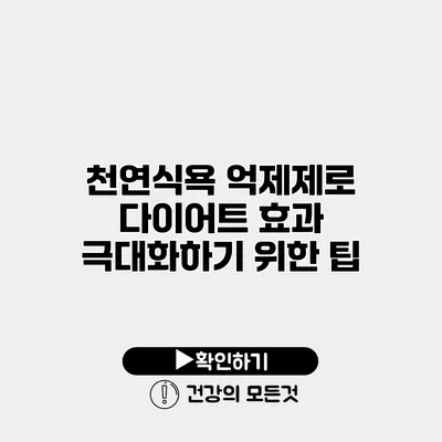 천연식욕 억제제로 다이어트 효과 극대화하기 위한 팁