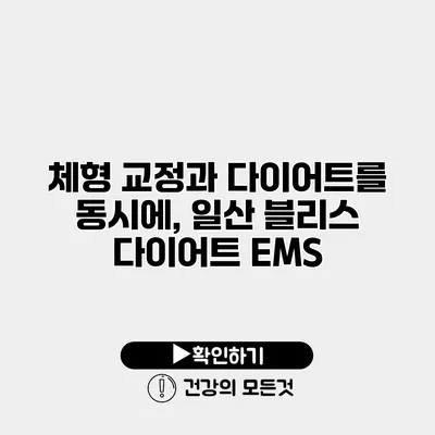 체형 교정과 다이어트를 동시에, 일산 블리스 다이어트 EMS