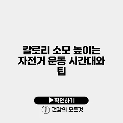 칼로리 소모 높이는 자전거 운동 시간대와 팁