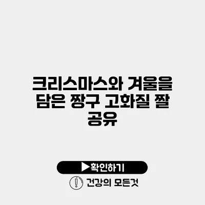크리스마스와 겨울을 담은 짱구 고화질 짤 공유