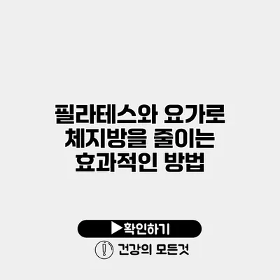 필라테스와 요가로 체지방을 줄이는 효과적인 방법