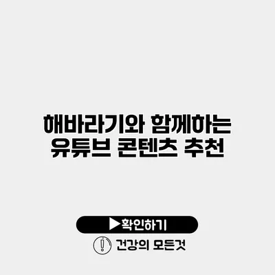 해바라기와 함께하는 유튜브 콘텐츠 추천