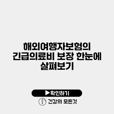 해외여행자보험의 긴급의료비 보장 한눈에 살펴보기