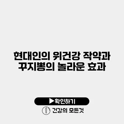 현대인의 위건강 작약과 꾸지뽕의 놀라운 효과
