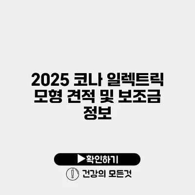 2025 코나 일렉트릭 모형 견적 및 보조금 정보