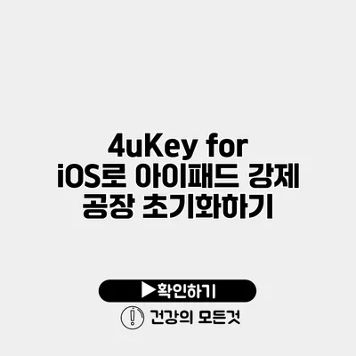 4uKey for iOS로 아이패드 강제 공장 초기화하기