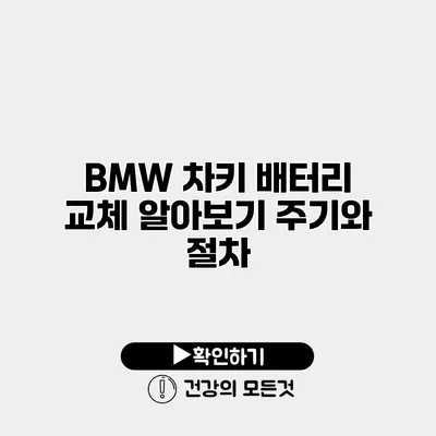 BMW 차키 배터리 교체 알아보기 주기와 절차