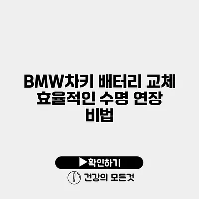 BMW차키 배터리 교체 효율적인 수명 연장 비법