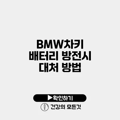 BMW차키 배터리 방전시 대처 방법