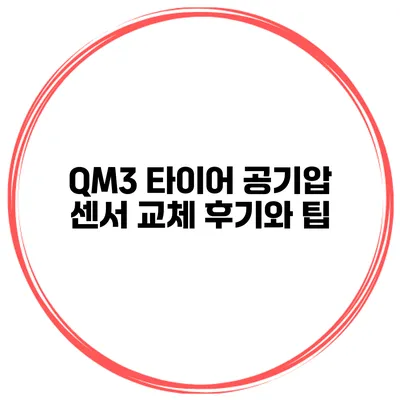 QM3 타이어 공기압 센서 교체 후기와 팁