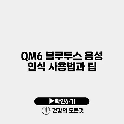 QM6 블루투스 음성 인식 사용법과 팁