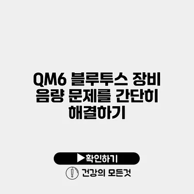 QM6 블루투스 장비 음량 문제를 간단히 해결하기