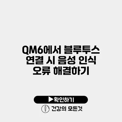 QM6에서 블루투스 연결 시 음성 인식 오류 해결하기