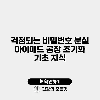 걱정되는 비밀번호 분실 아이패드 공장 초기화 기초 지식