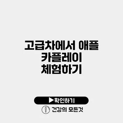 고급차에서 애플 카플레이 체험하기