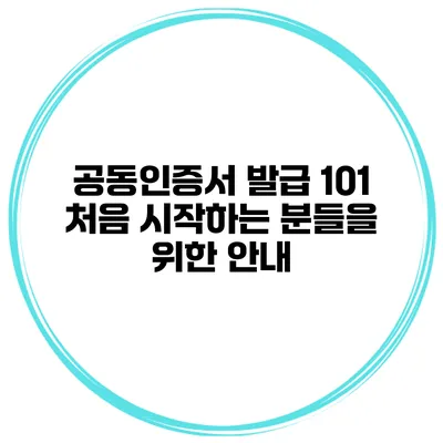 공동인증서 발급 101 처음 시작하는 분들을 위한 안내