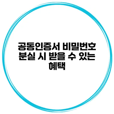 공동인증서 비밀번호 분실 시 받을 수 있는 혜택
