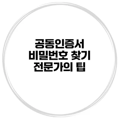 공동인증서 비밀번호 찾기 전문가의 팁