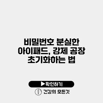 비밀번호 분실한 아이패드, 강제 공장 초기화하는 법