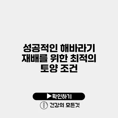 성공적인 해바라기 재배를 위한 최적의 토양 조건