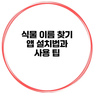 식물 이름 찾기 앱 설치법과 사용 팁