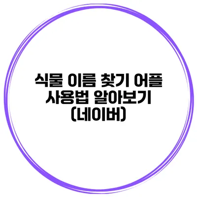식물 이름 찾기 어플 사용법 알아보기 (네이버)