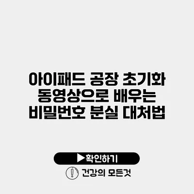 아이패드 공장 초기화 동영상으로 배우는 비밀번호 분실 대처법