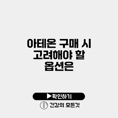 아테온 구매 시 고려해야 할 옵션은?